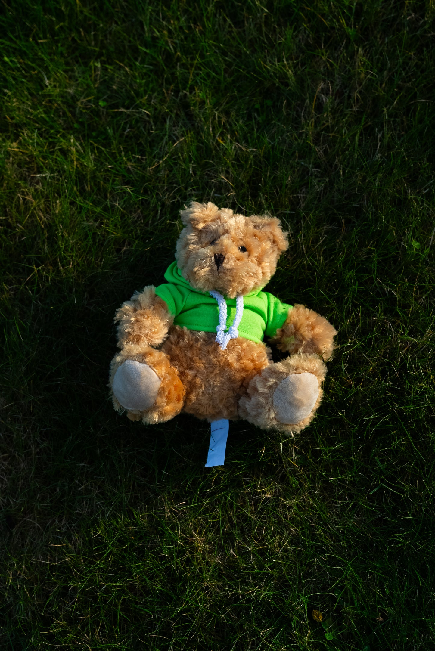 Theo Teddy 25cm